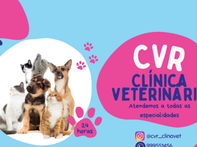 CVR - Clínica Veterinária Railane