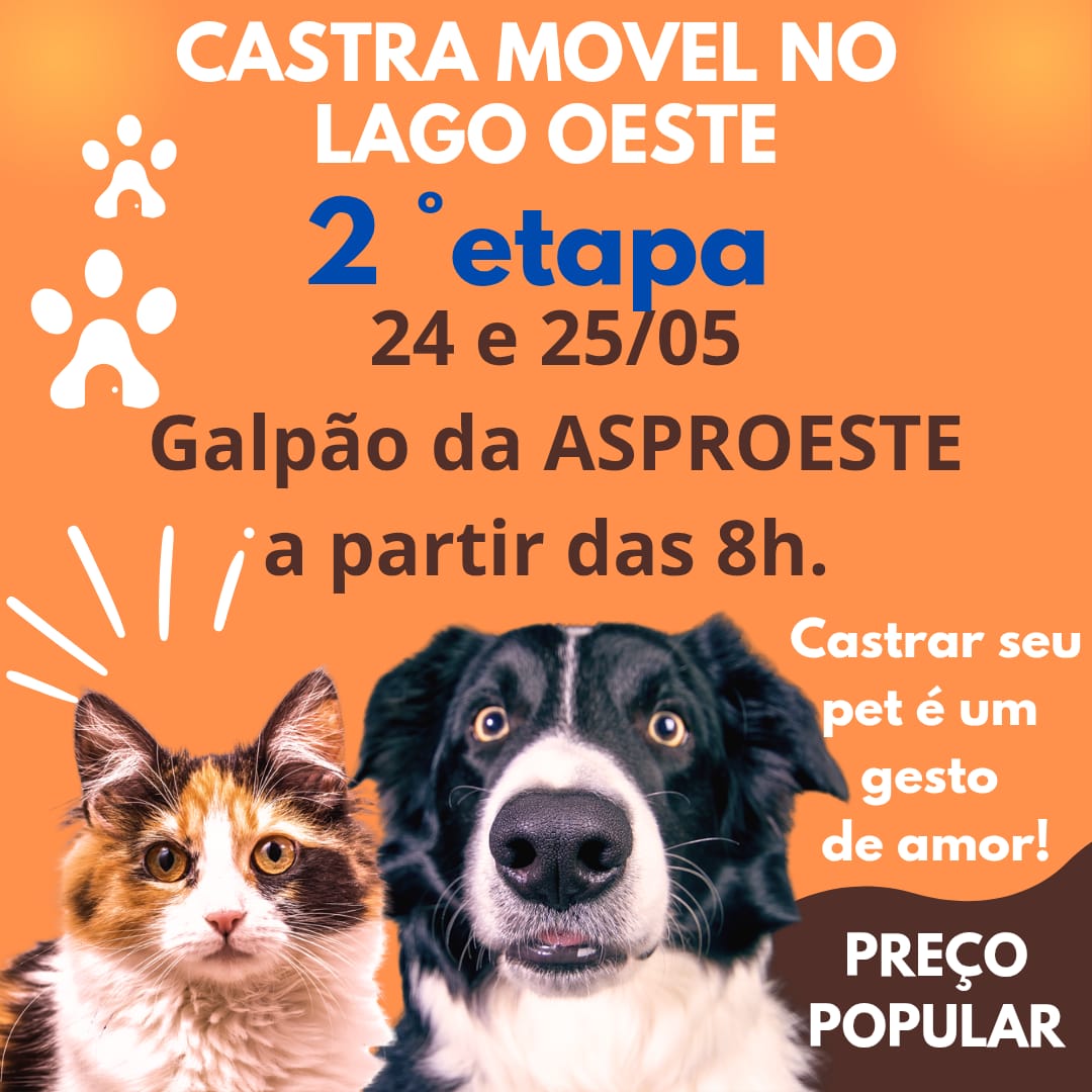 castra movel castra movel