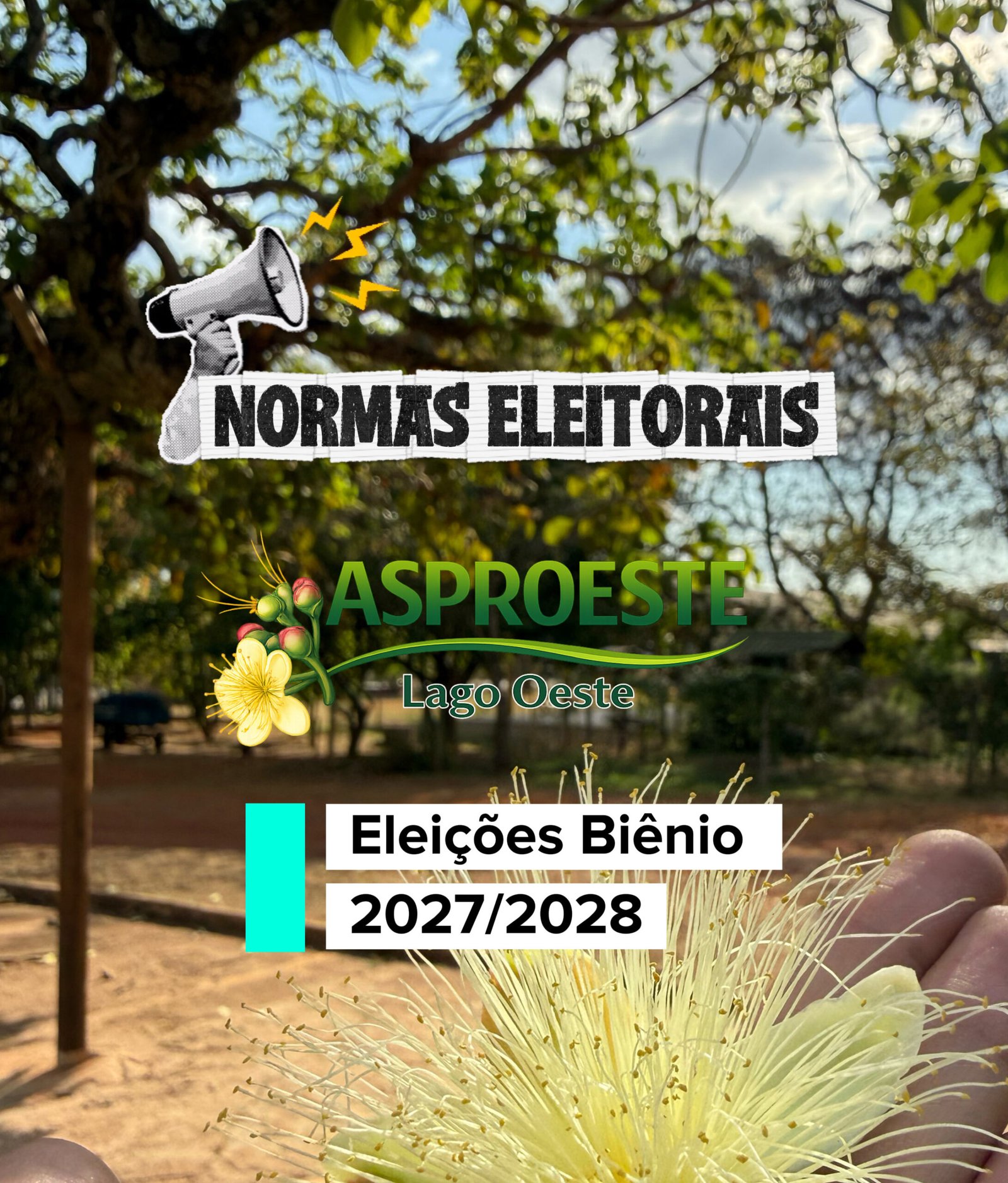 Normas Eleitorais